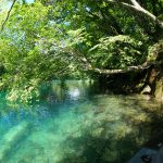 A must-do activity when you visit Hokkaido