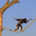 Characteristics of people who are strangely liked by others