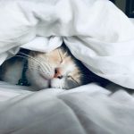 3 ways to get a good night’s sleep in 5 minutes